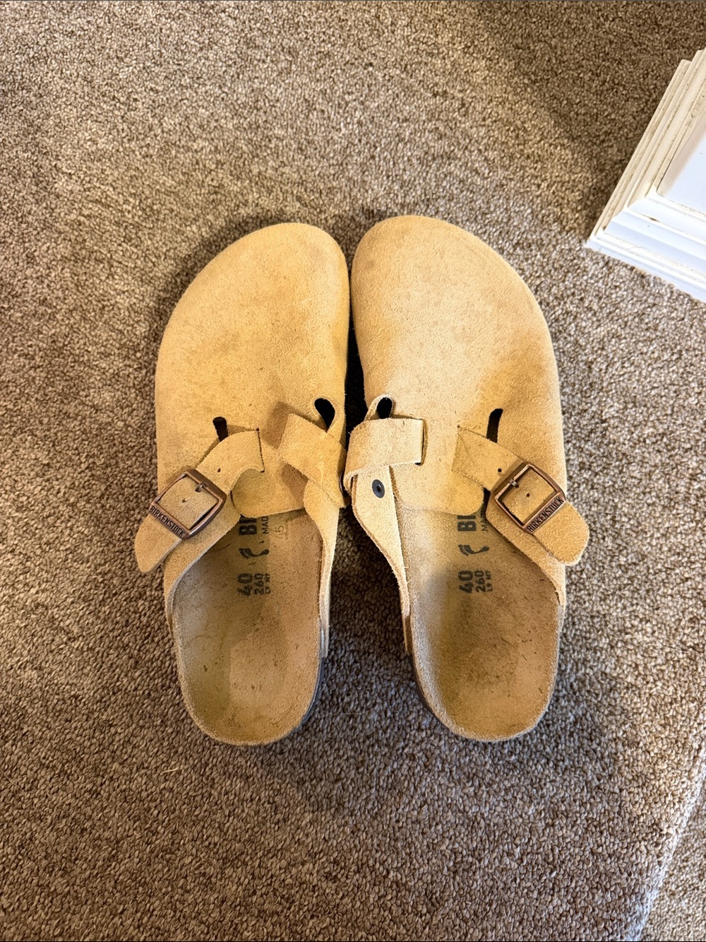 Birkenstock Suede Slip-On Clog in Tan